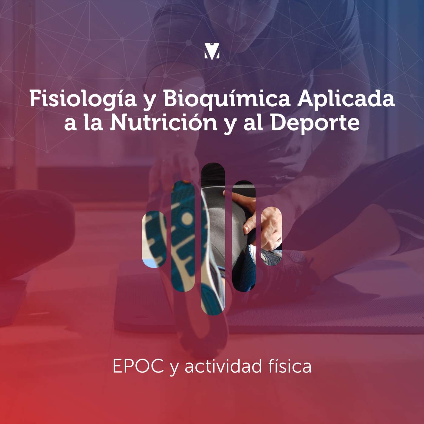 5 - FISIOLOGÍA Y BIOQUÍMICA APLICADA A LA NUTRICIÓN Y AL DEPORTE: EPOC y actividad física episode artwork