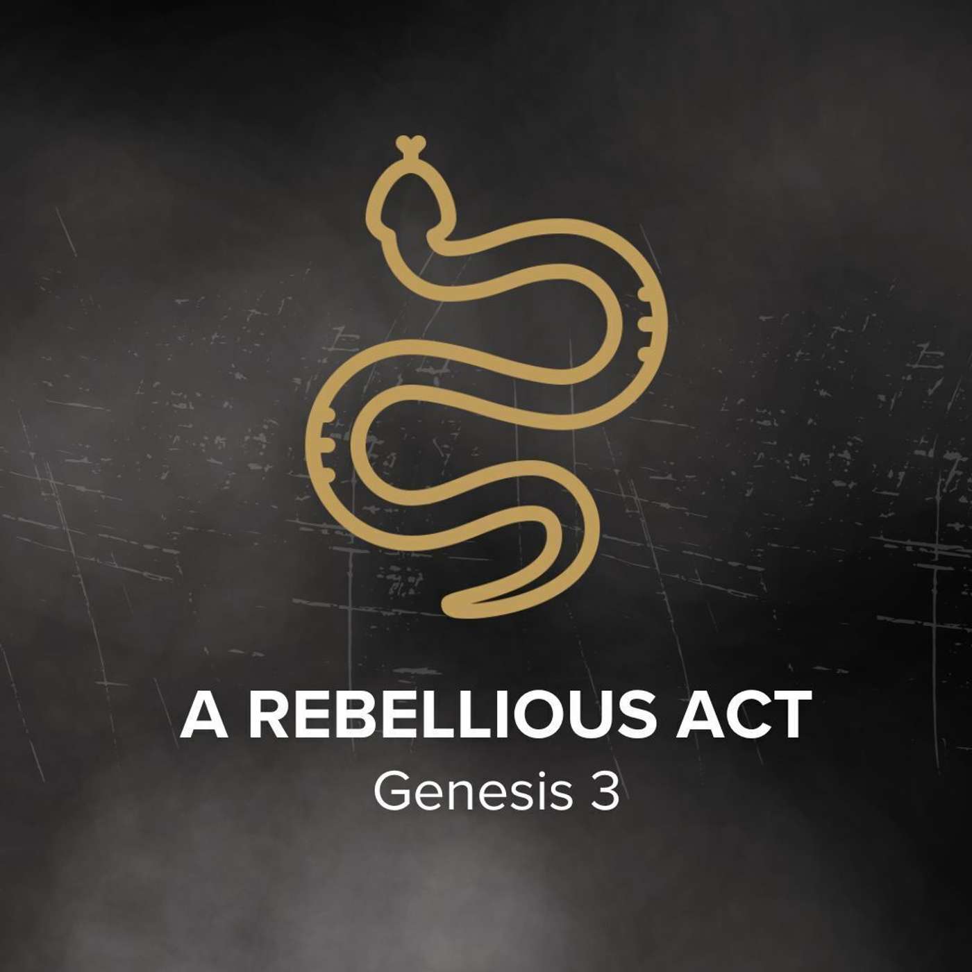 Jesus on Every Page: A Rebellious Act episode artwork