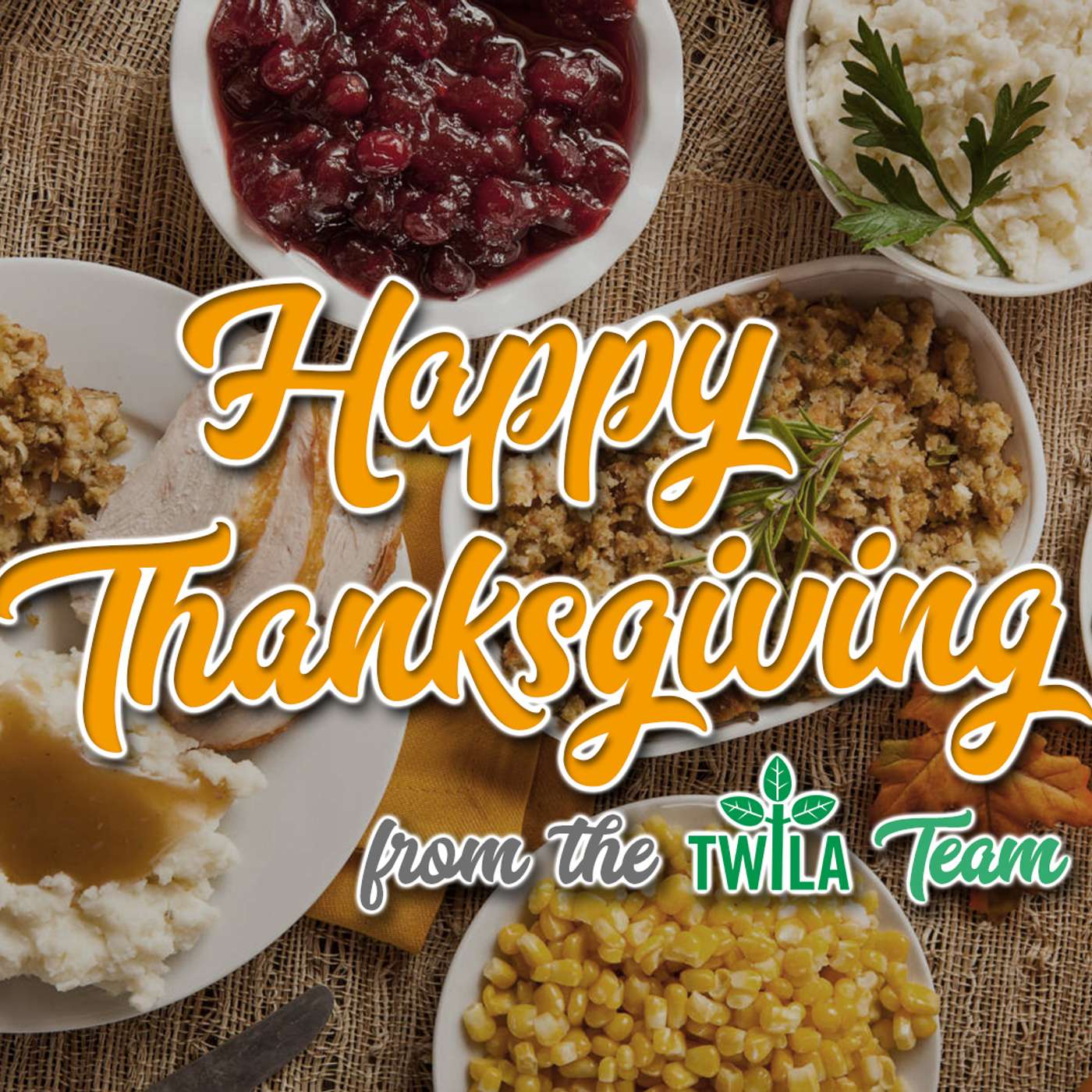 TWILA 11-19-21 episode artwork