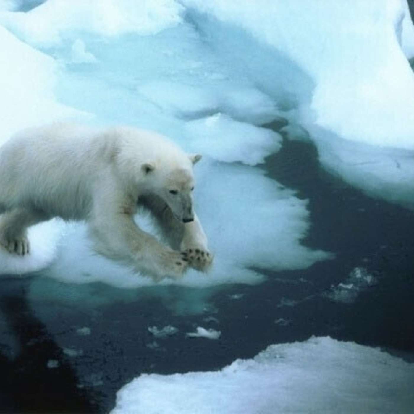 Миссия не выполнена: Том Круз остался на Шпицбергене без вертолета