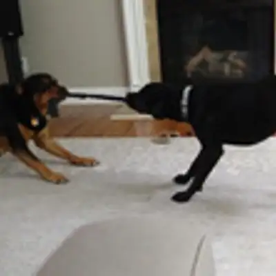 image of podcast supporter