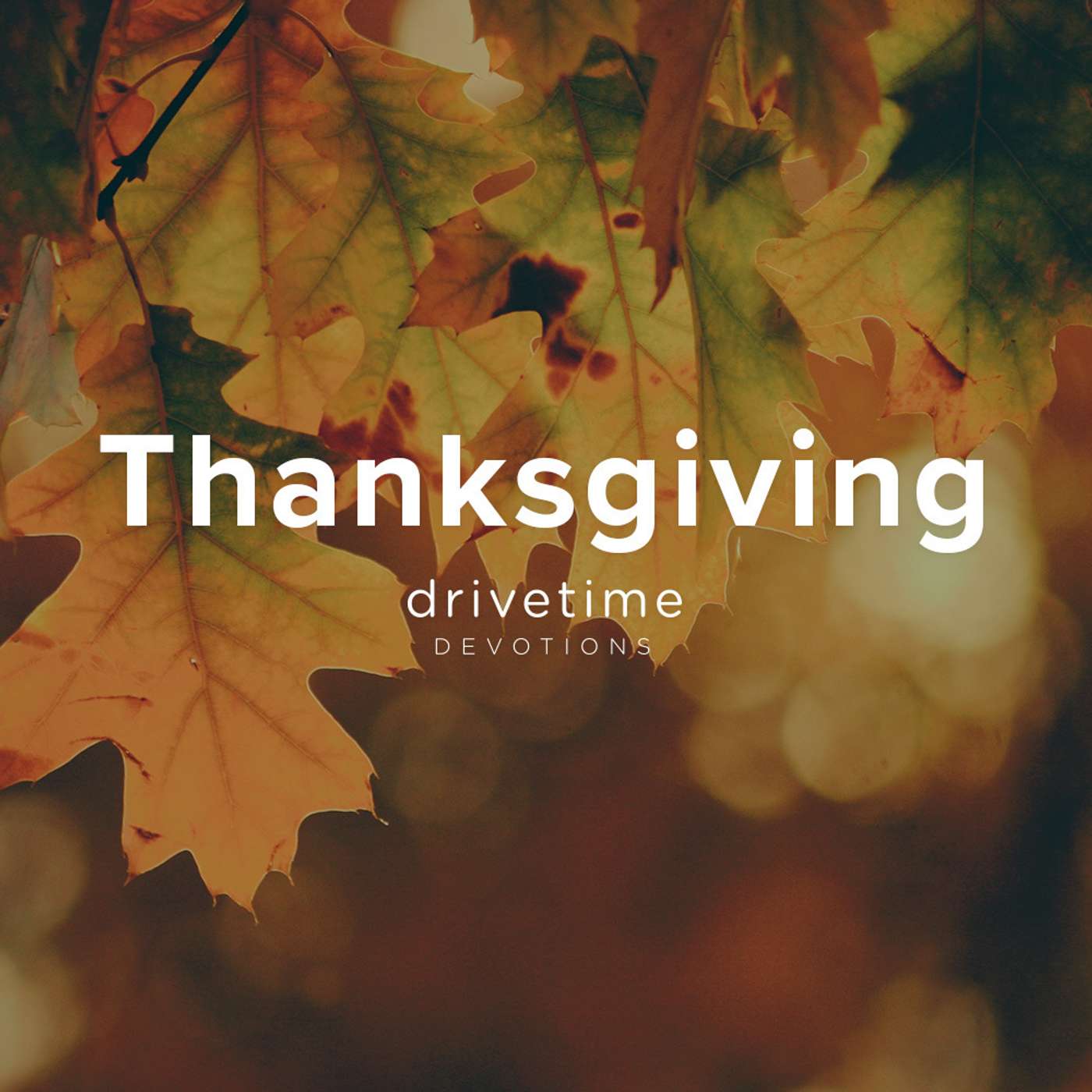 Thanksgiving - Day 3 episode artwork