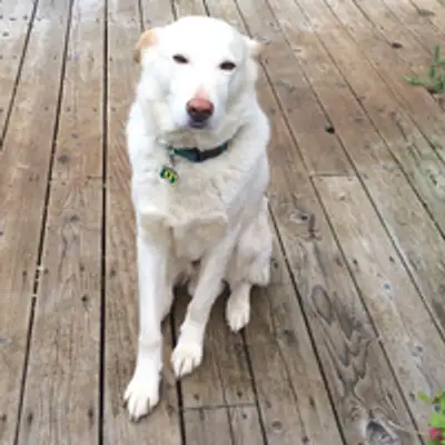 Oregonian’s Loving Portugal