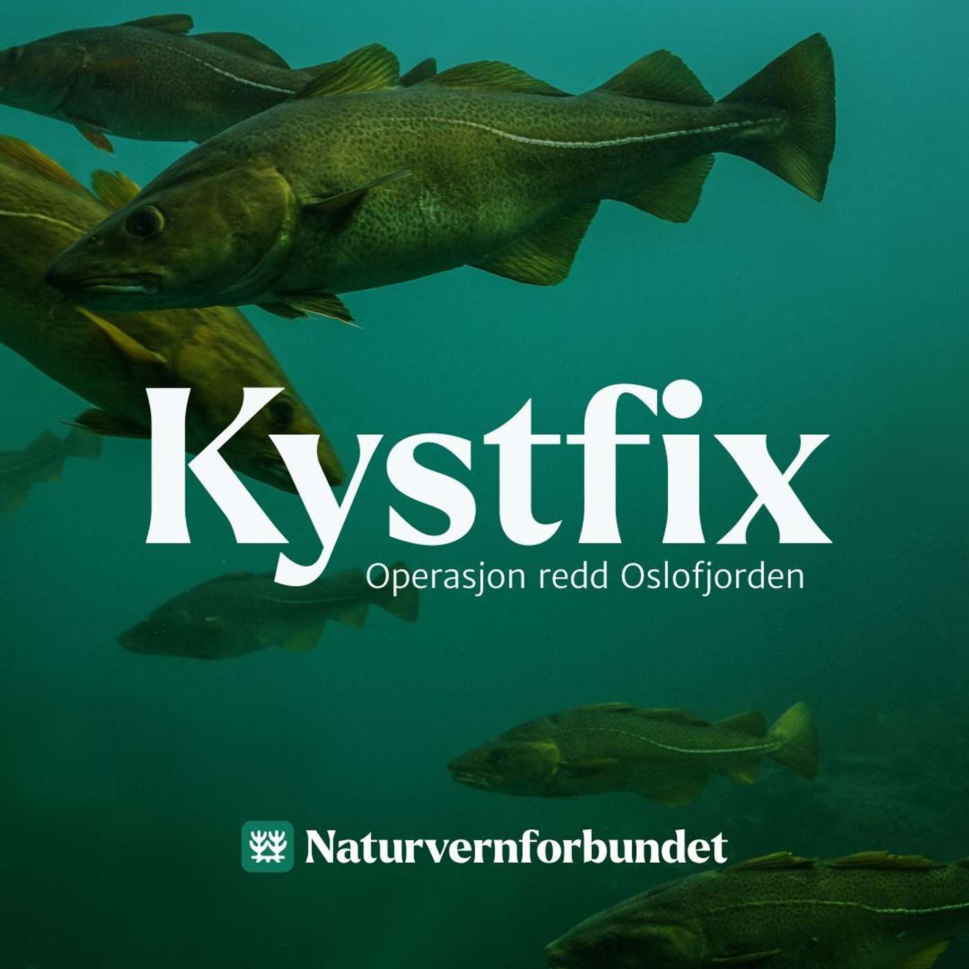 Kystfix