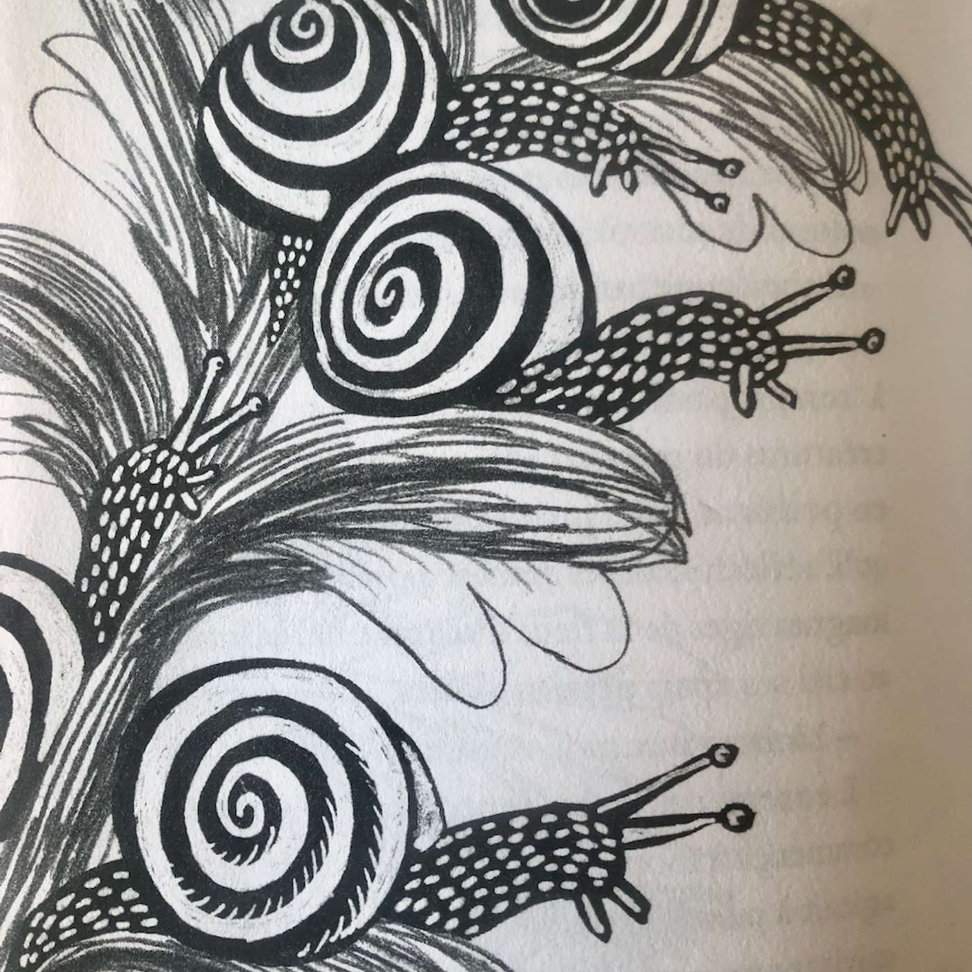 Histoire d'un escargot qui découvrit l'importance de la lenteur par Jean-Philippe Leremboure episode artwork