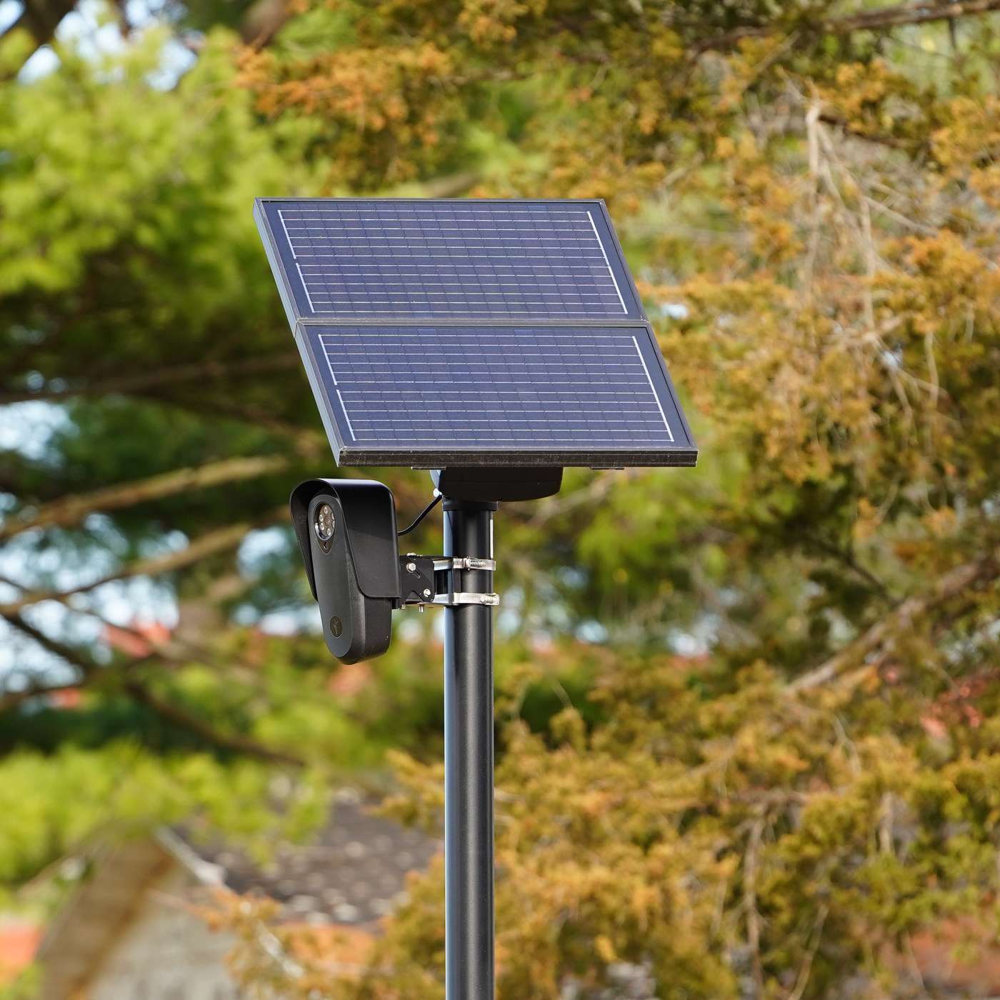 Automatic License Plate Readers Raise Concerns over Data Privacy episode artwork