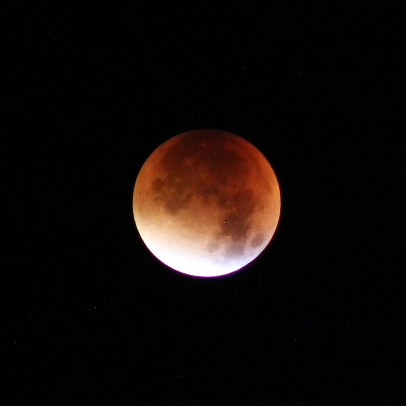 Nature and Science 4 Kids