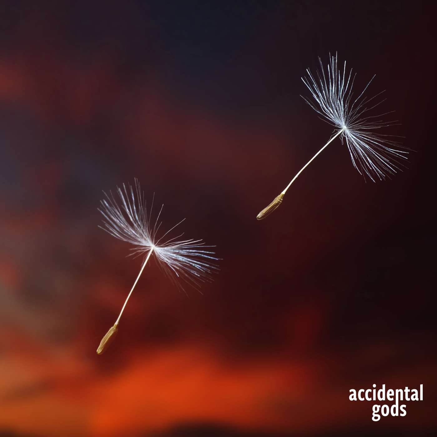 Being, Belonging, Beyond: Bringing the sacred to a turbulent world with Sue Philips of Sacred Design labs