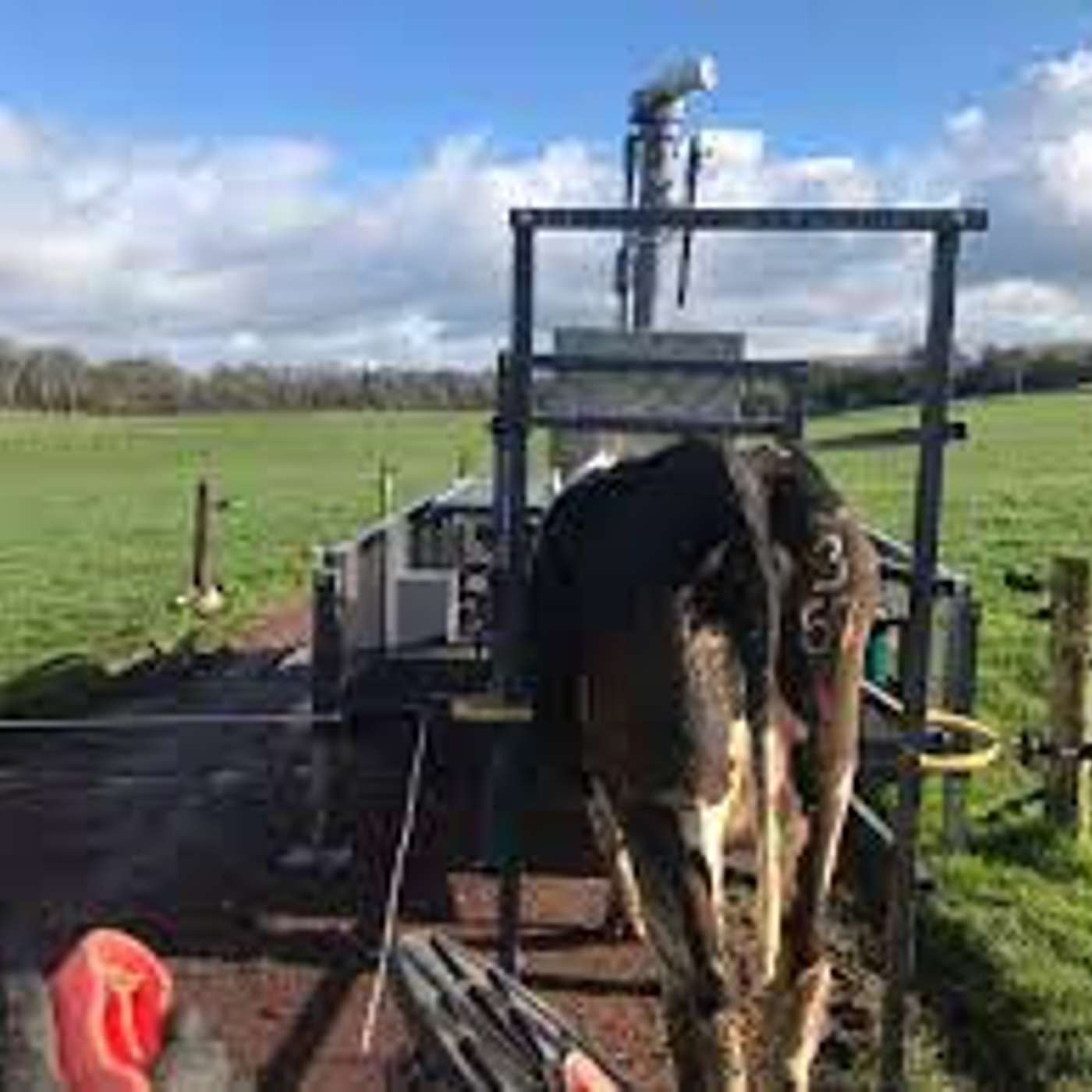 The Additive Trials Reporting an 80% Reduction in Methane Emissions