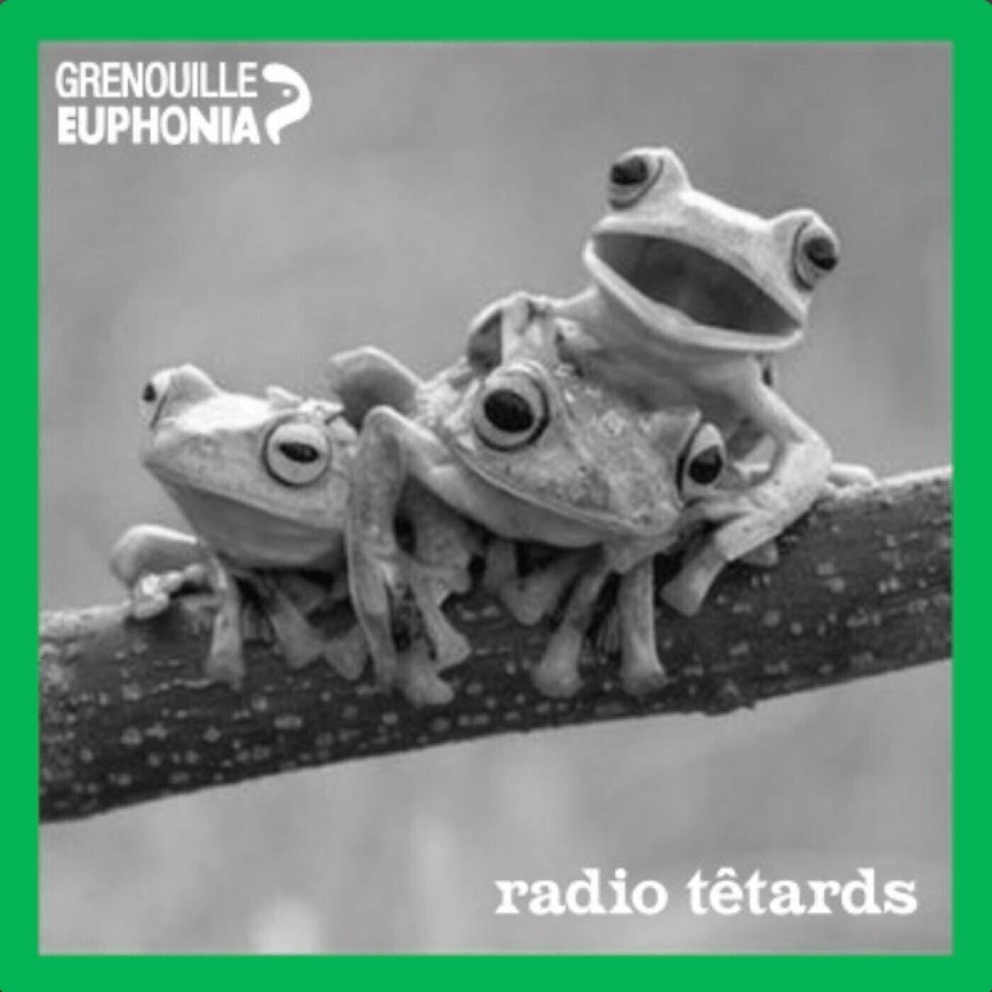 Radio Têtards - Radio Grenouille