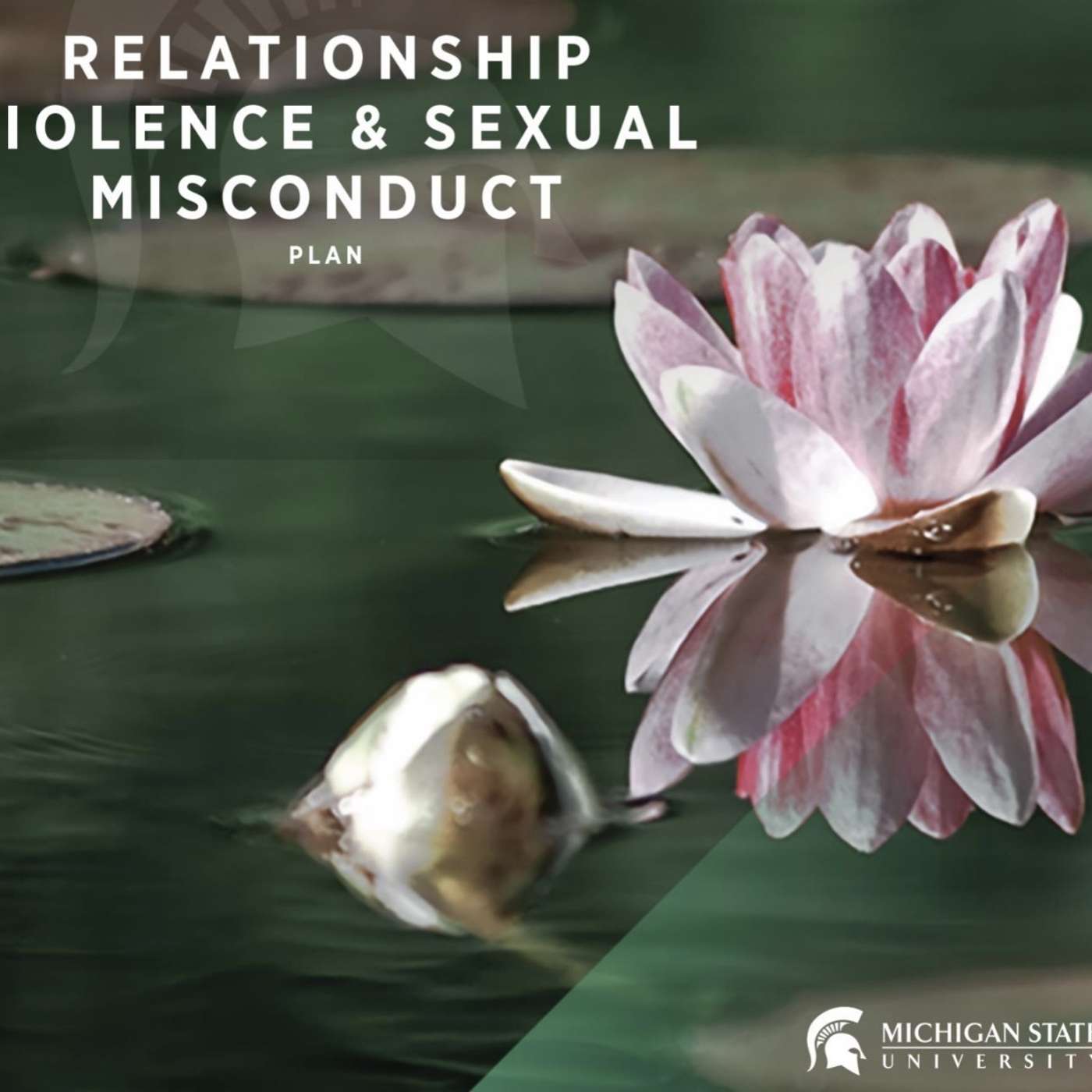 MSU releases strategic plan to address sexual assault prevention episode artwork