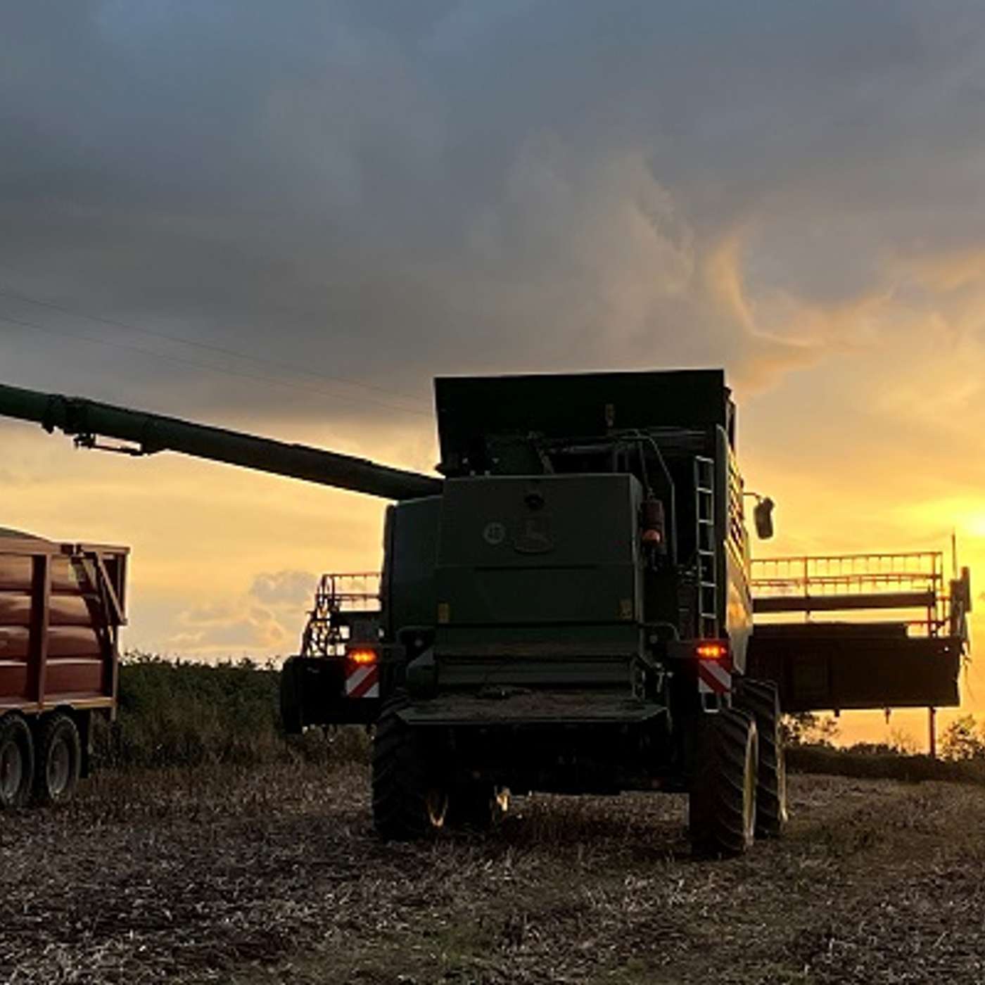 Harvest 2025 – some record yields reported Harvest 2025 – some record yields reported