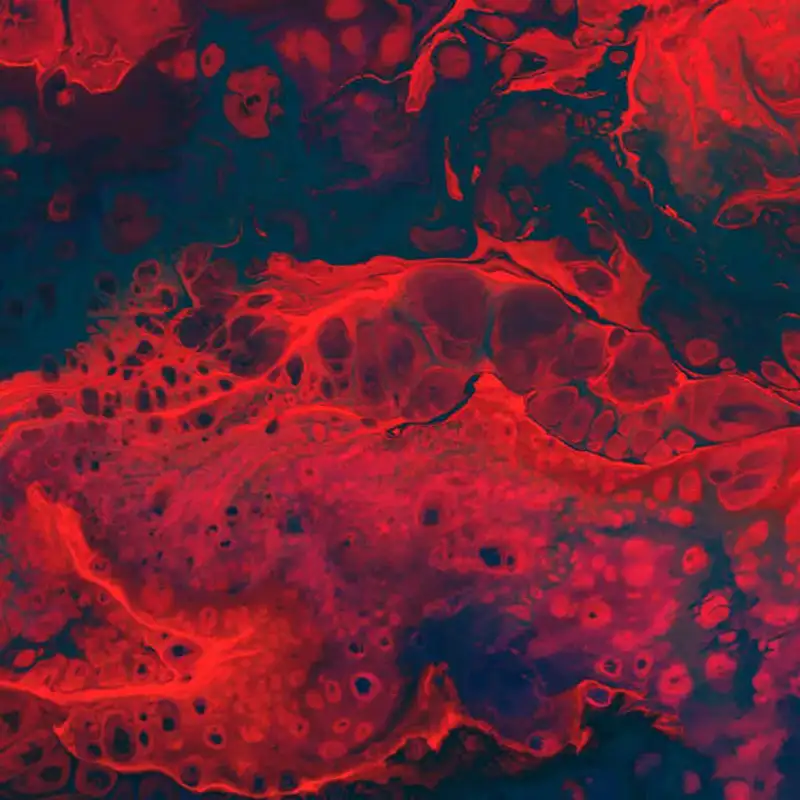 The Inventor - Out for Blood in Silicon Valley