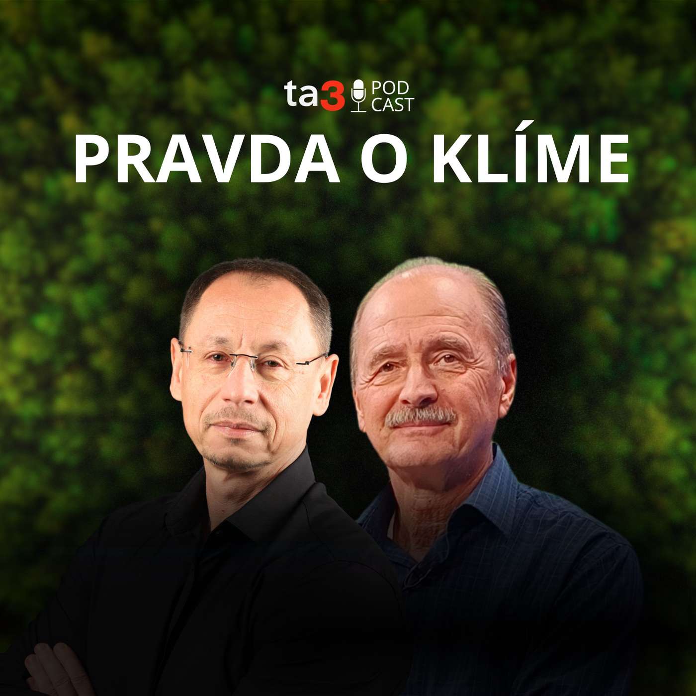 Lastovičky v októbri? Návraty z tepla už nie sú ako predtým. Čo nám o klimatických zmenách prezrádzajú vtáky?