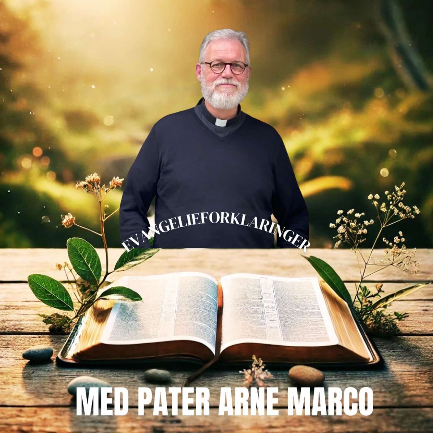 Evangelieforklaringer | 13. uke i det alminnelige kirkeår, onsdag episode artwork