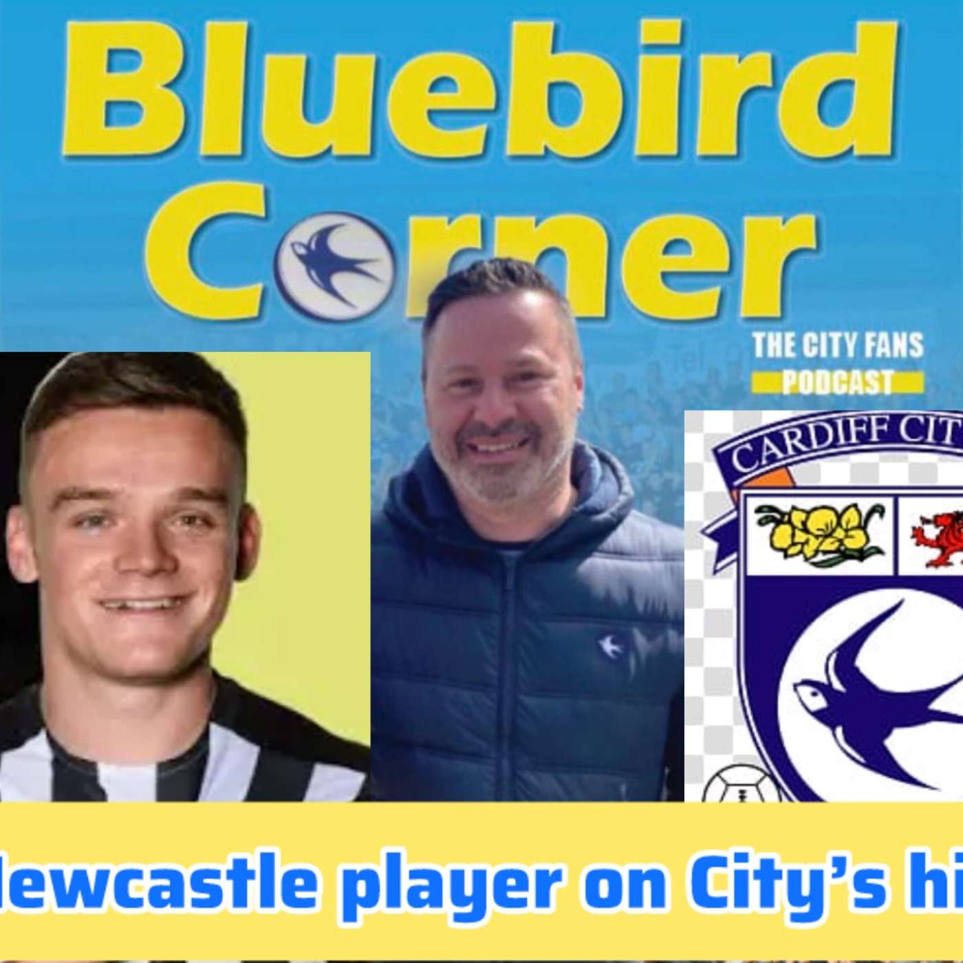 Cardiff City chase Ex Newcastle young star episode artwork