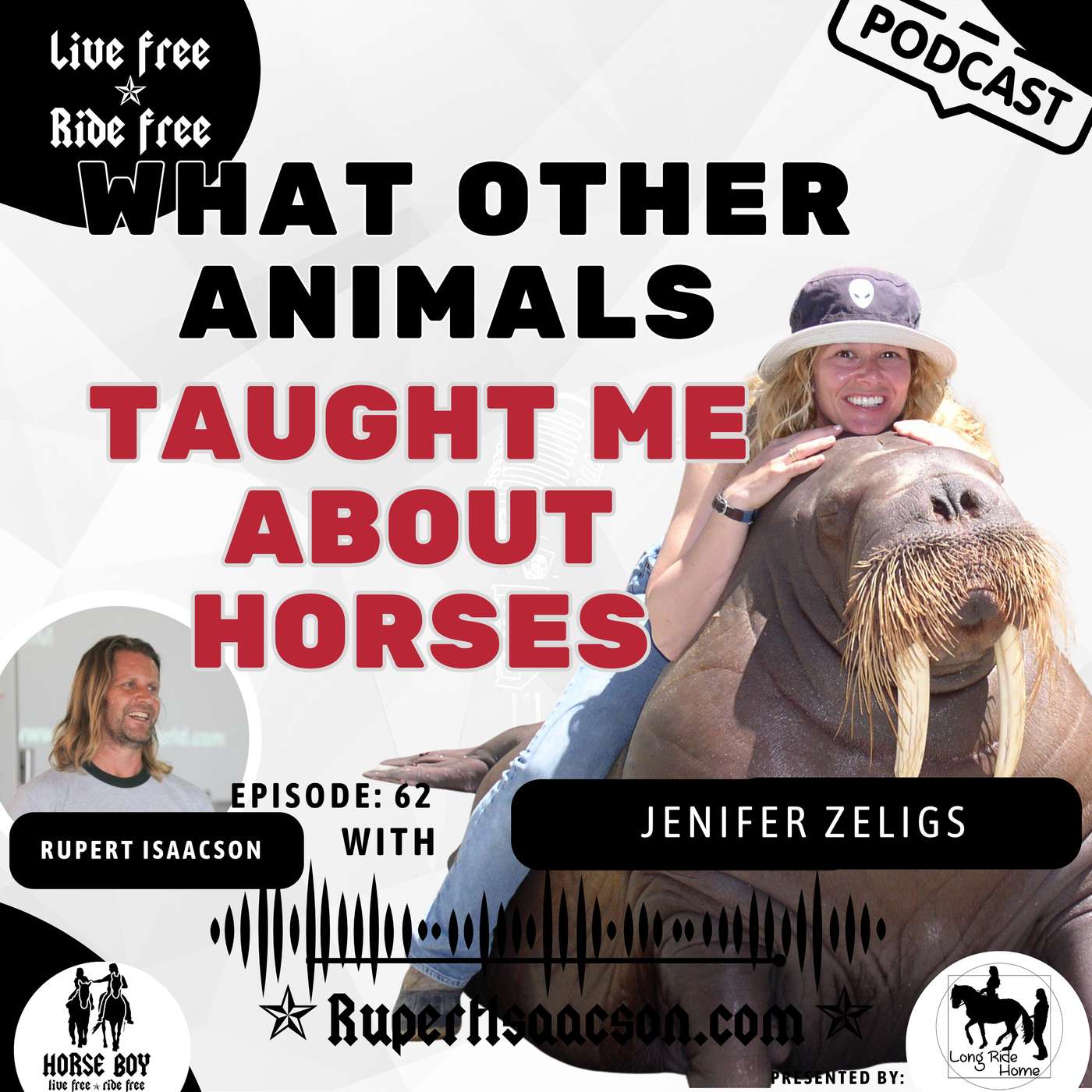 What Sea Lions Taught Me About Training Horses with Jenifer Zeligs | Live Free Ride Free What Sea Lions Taught Me About Training Horses with Jenifer Zeligs | Live Free Ride Free