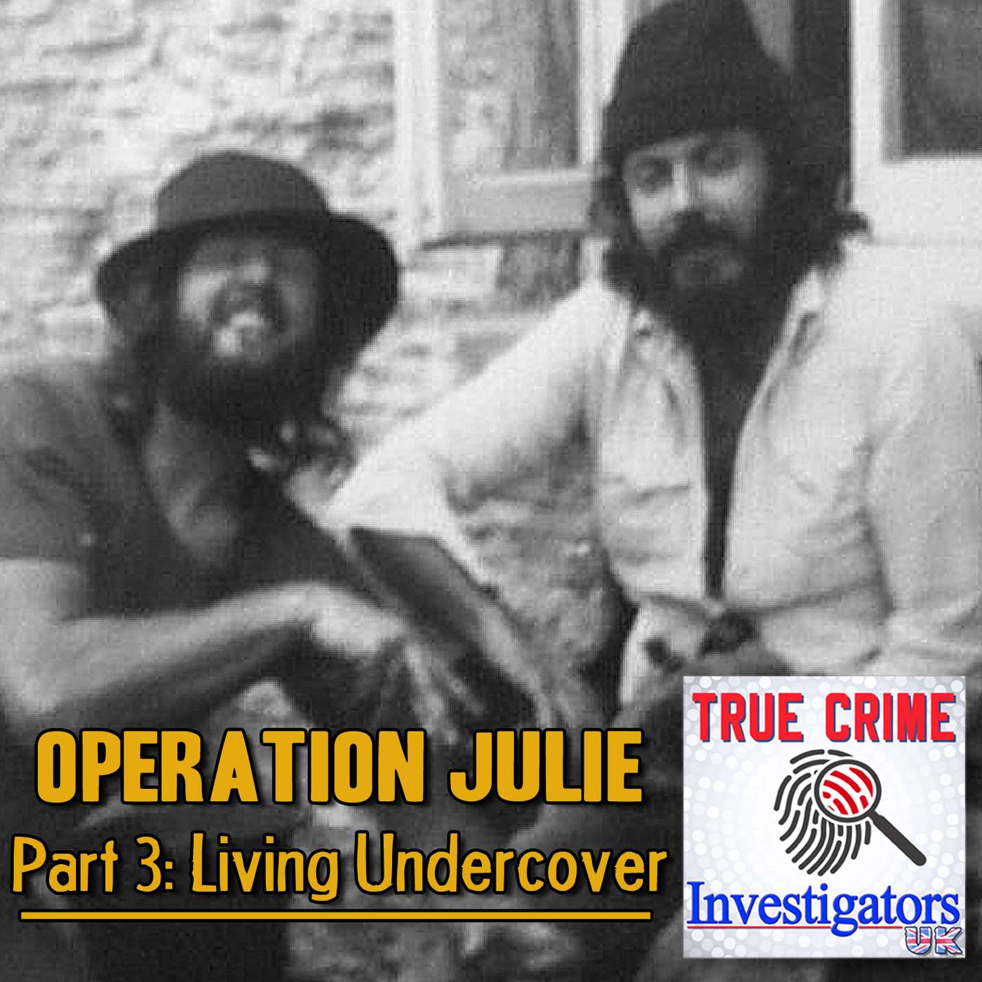 Operation Julie (Part 3 of 4) - Living Undercover episode artwork