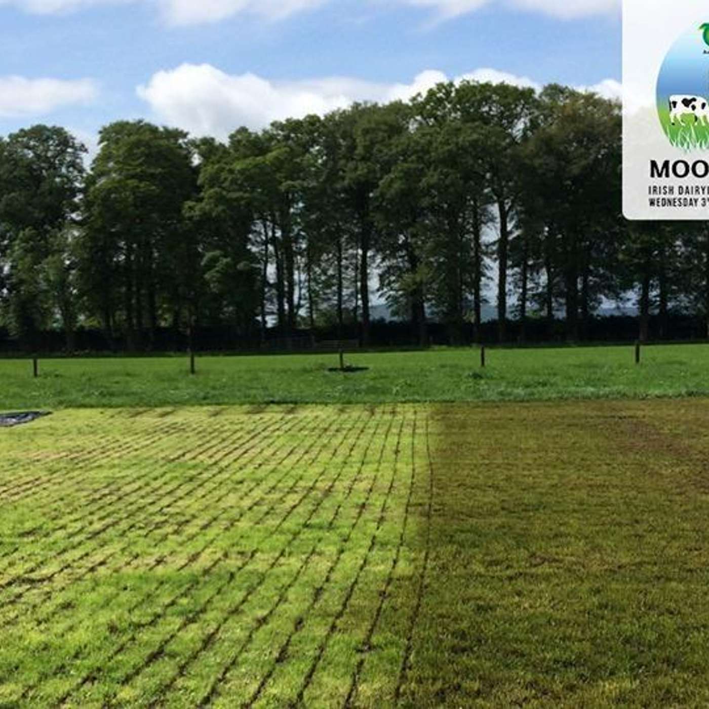 New cost-effective methods of slurry spreading