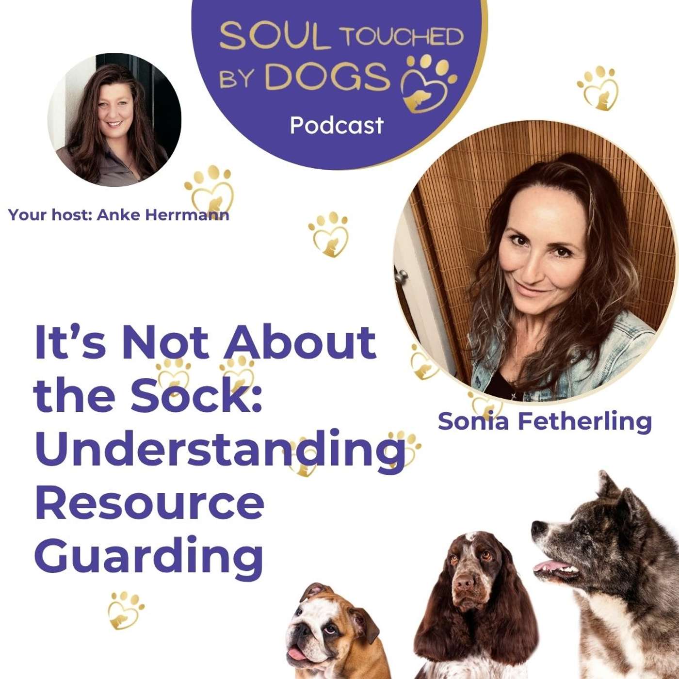 It’s Not About the Sock: Understanding Resource Guarding with Sonia Fetherling