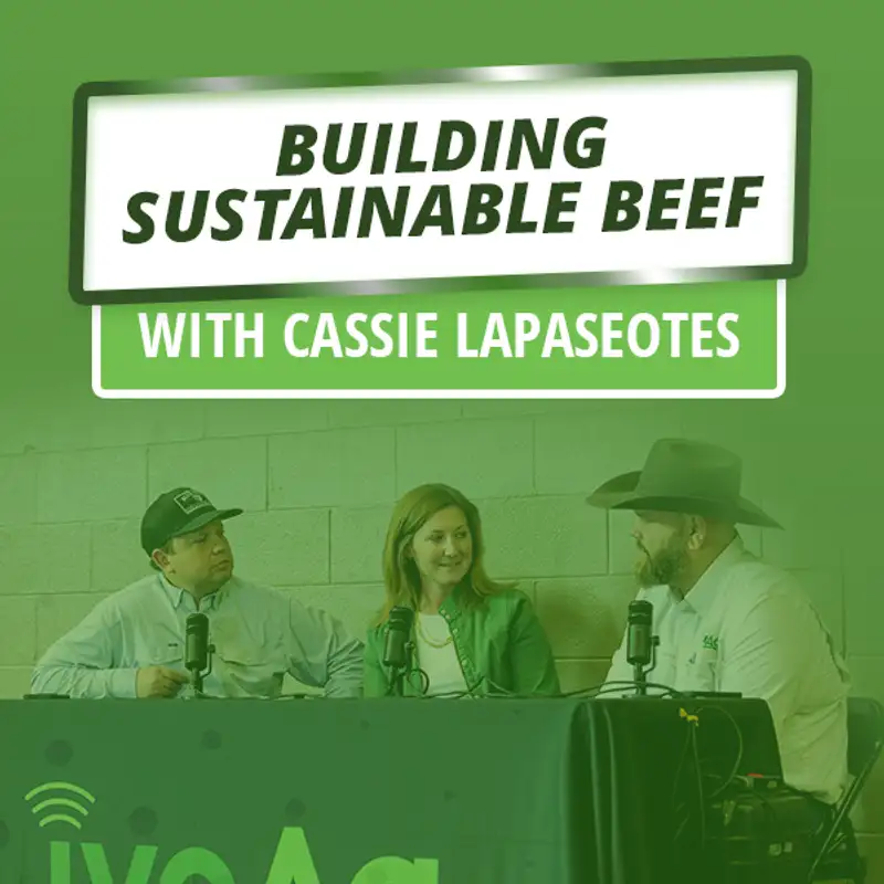 Building Sustainable Beef: Cassie Lapaseotes' Vision for Nebraska Ranching