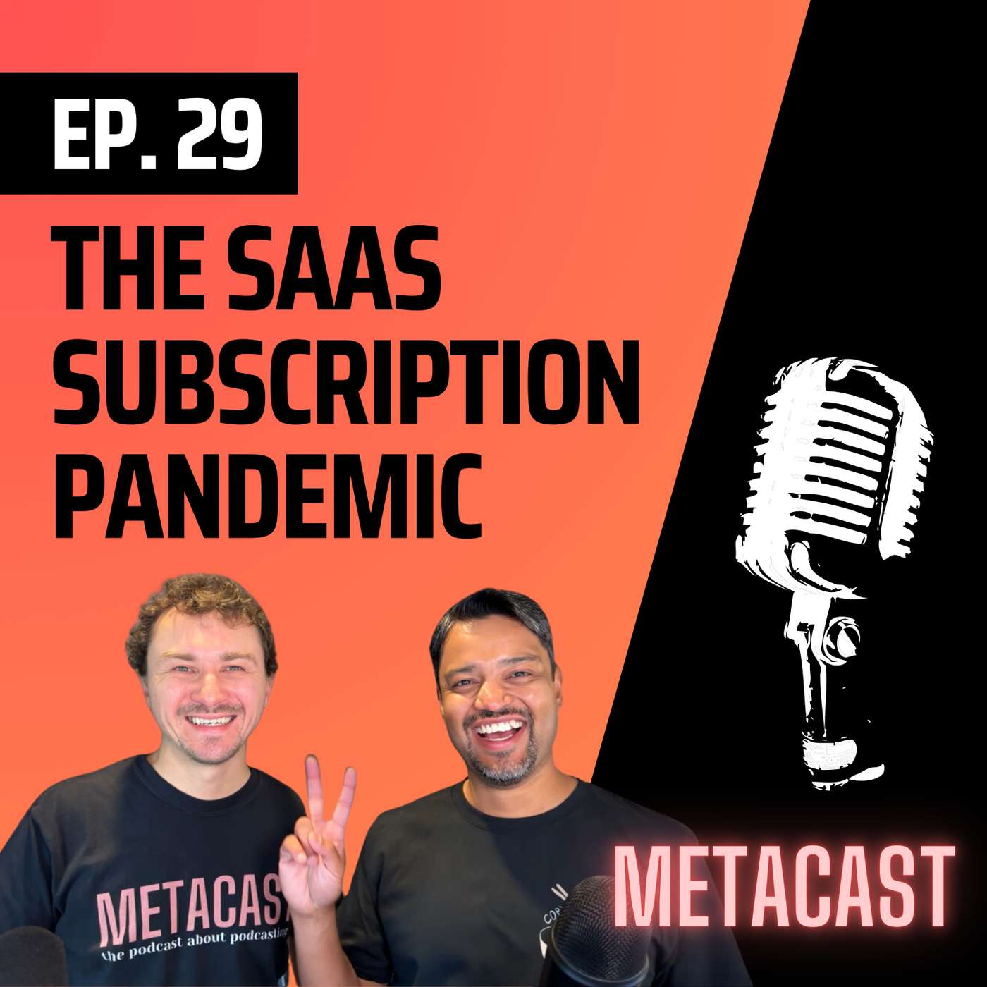 Metacast: Behind the scenes