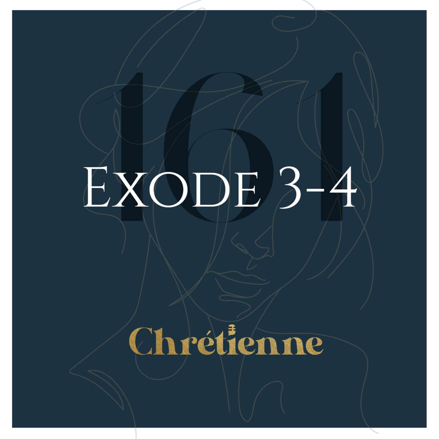 161. Dieu suscite un libérateur (Exode 3-4)