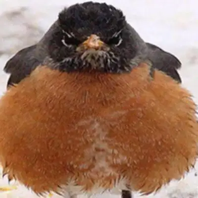 image of podcast supporter