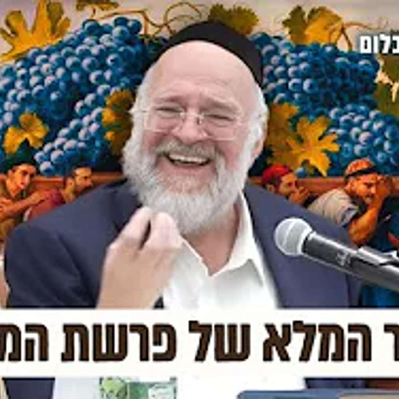 הרב רוזנבלום בהמחשה מיוחדת על "סיפור פרשת המרגלים ועונשם" פ"א - שיעור מומלץ מאוד