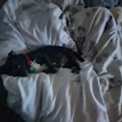 image of podcast supporter