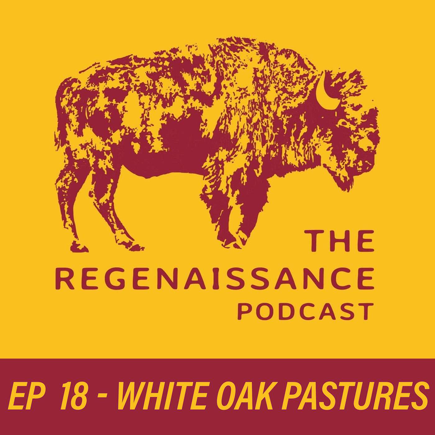 The Regenaissance Podcast