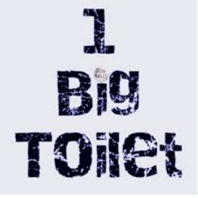 1 Big Toilet Podcast