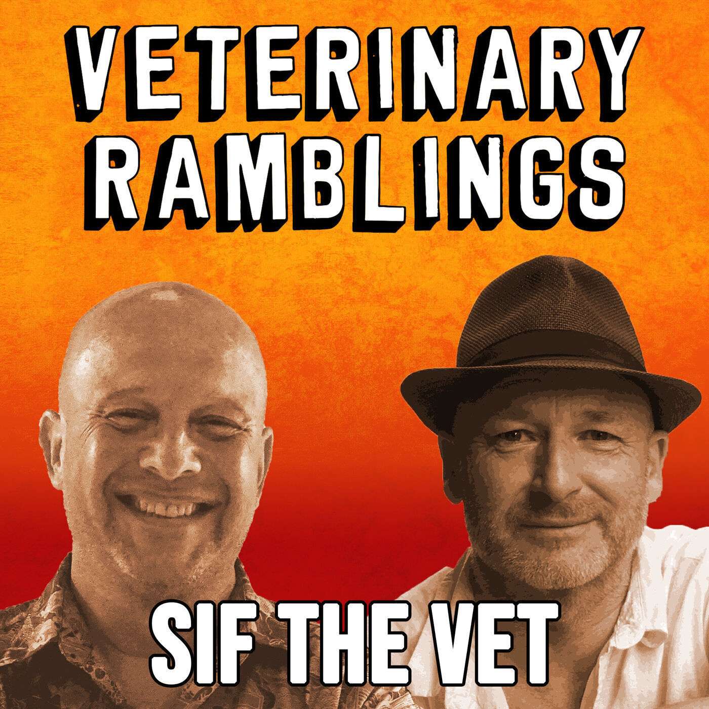 Ep 18: Campervans & Canine Behaviour with Sif the Vet episode artwork
