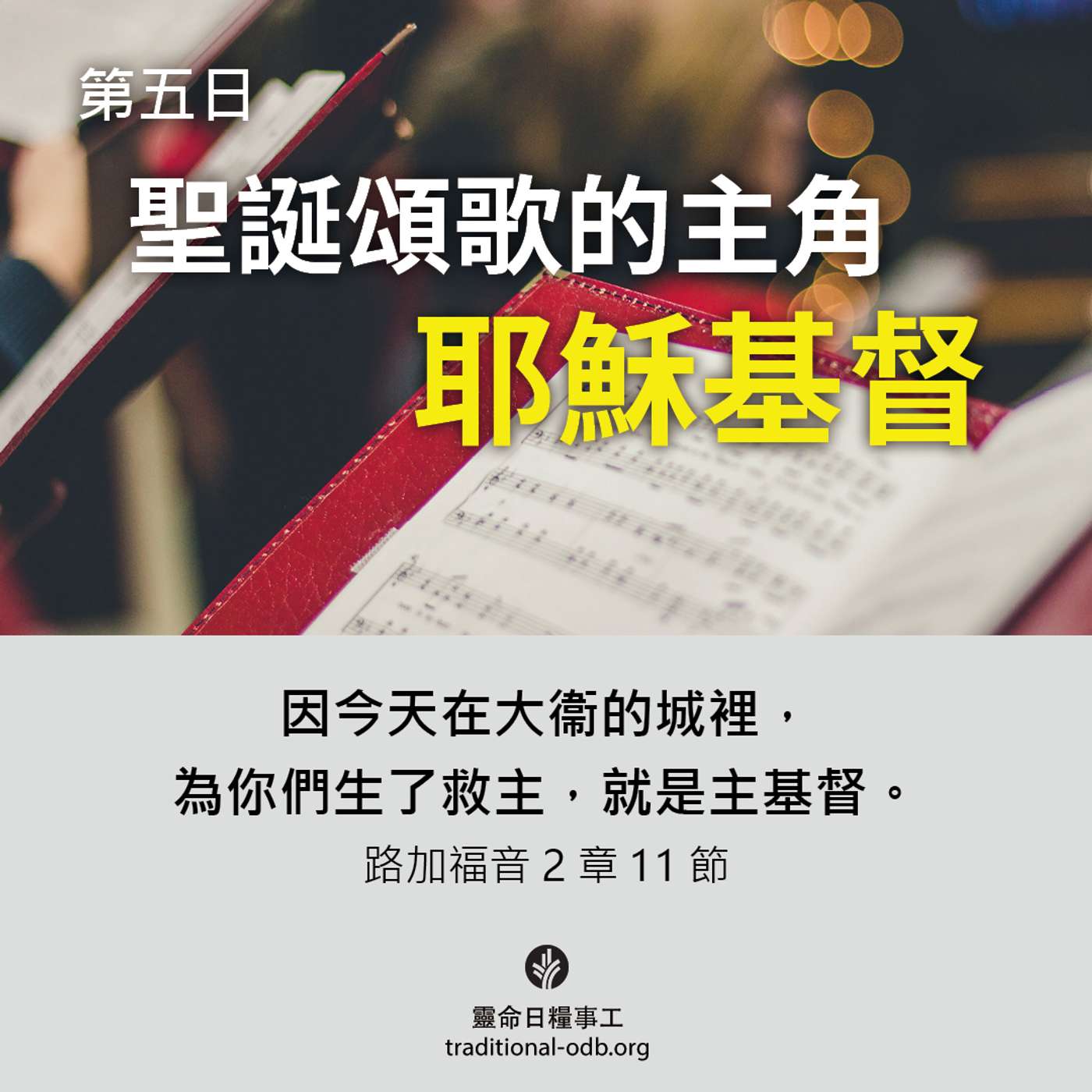 將臨期12天靈修計劃-《聖善夜》第5日 關於聖誕的疑問