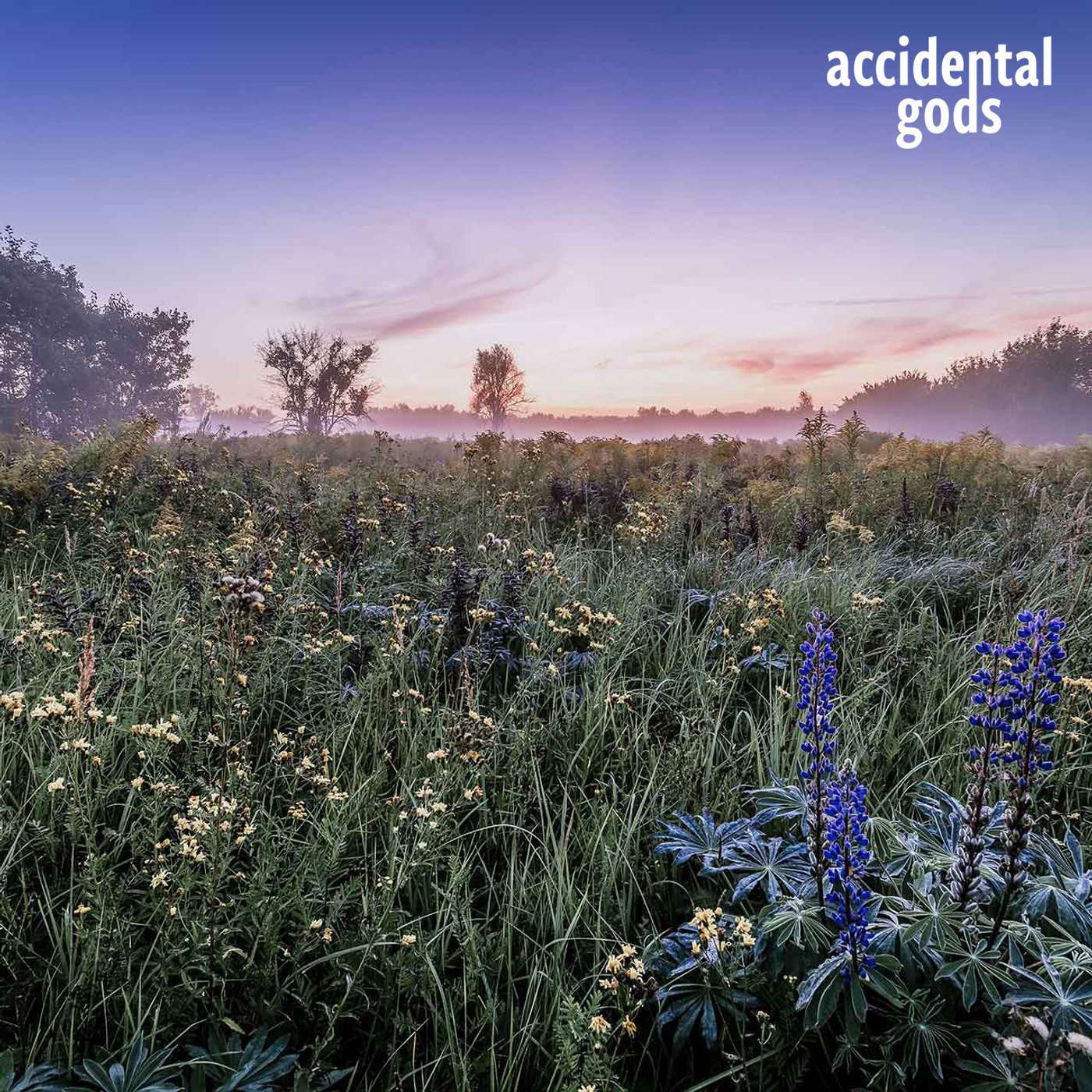 Circles of Power: Urban Micro Anaerobic Digestion with Rokiah Yaman