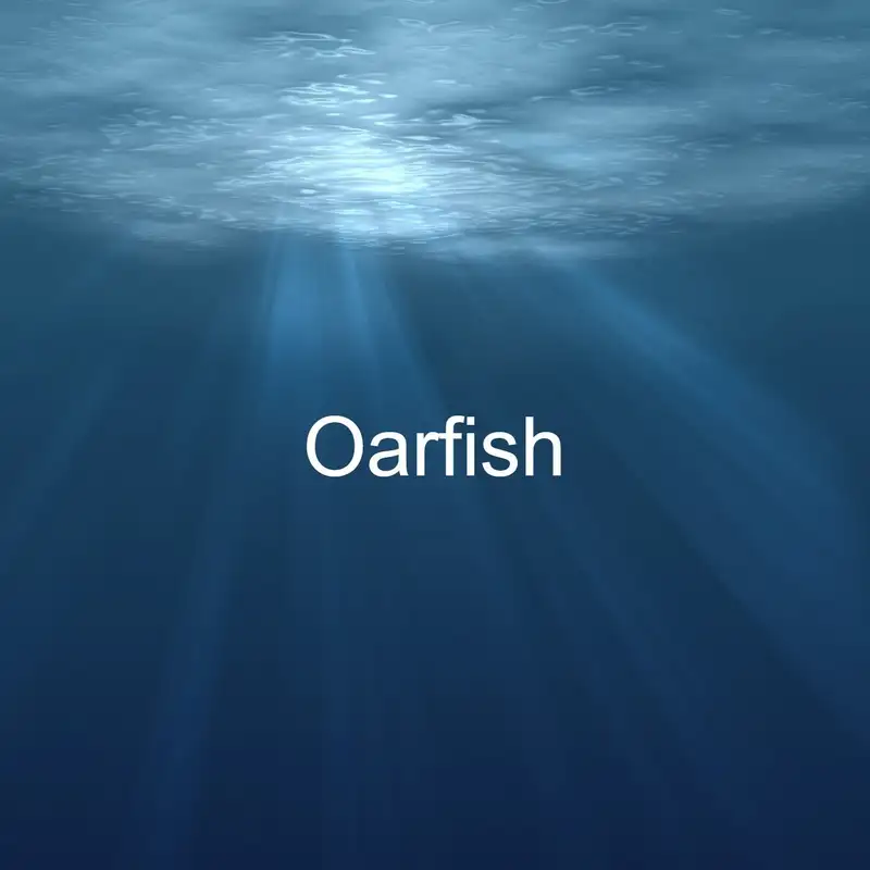 Oarfish