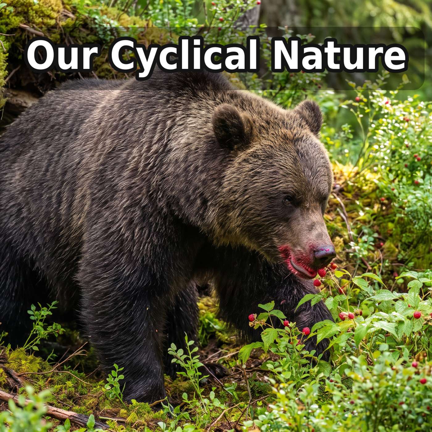 Day 296 - Our Cyclical Nature episode artwork