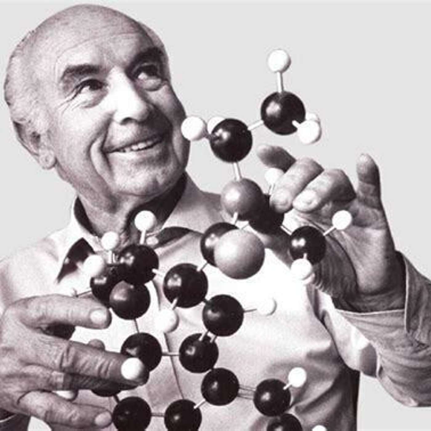 The Organic Singularity