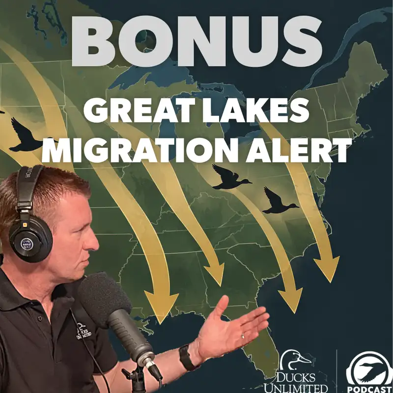 Great Lakes Migration Update: Divers Arriving, Geese Pushing & What Comes Next