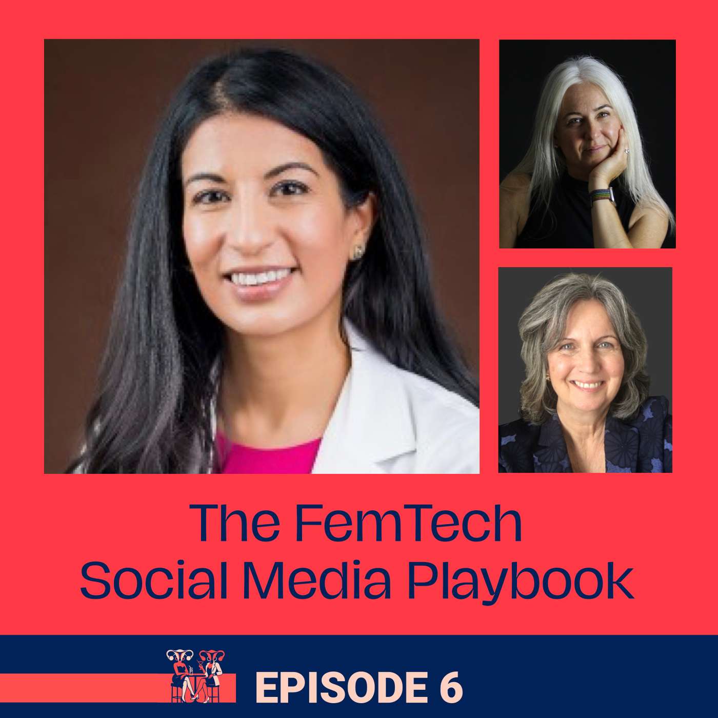 The FemTech Social Media Playbook episode artwork