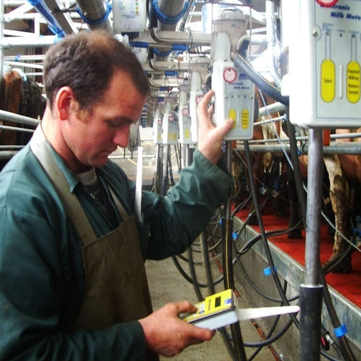 Milk recording: differentiating between DIY and manual milk recording events