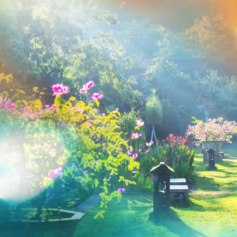 Karmels hage - Trosbekjennelsen 38: Lammets nattverd