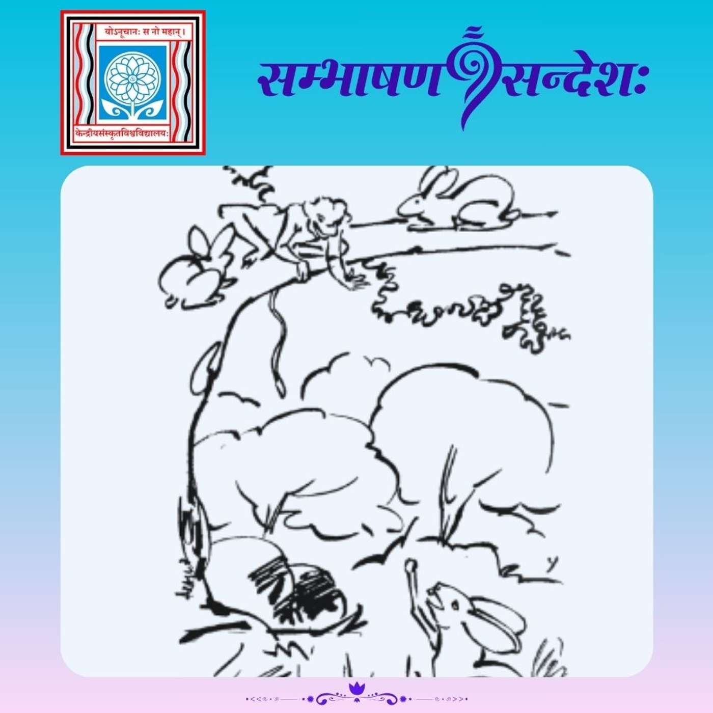 बुद्धिवन्तः पशुपक्षिणः