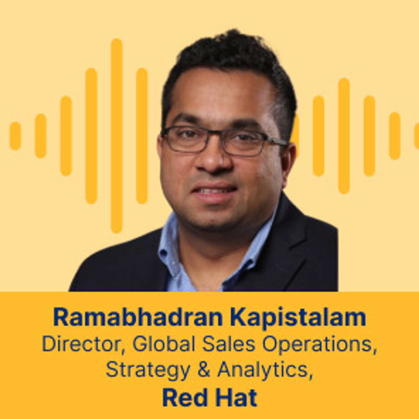 Leveraging Data for Business Impact: Ramabhadran Kapistalam's Expert Insights for Sales Ops Professionals