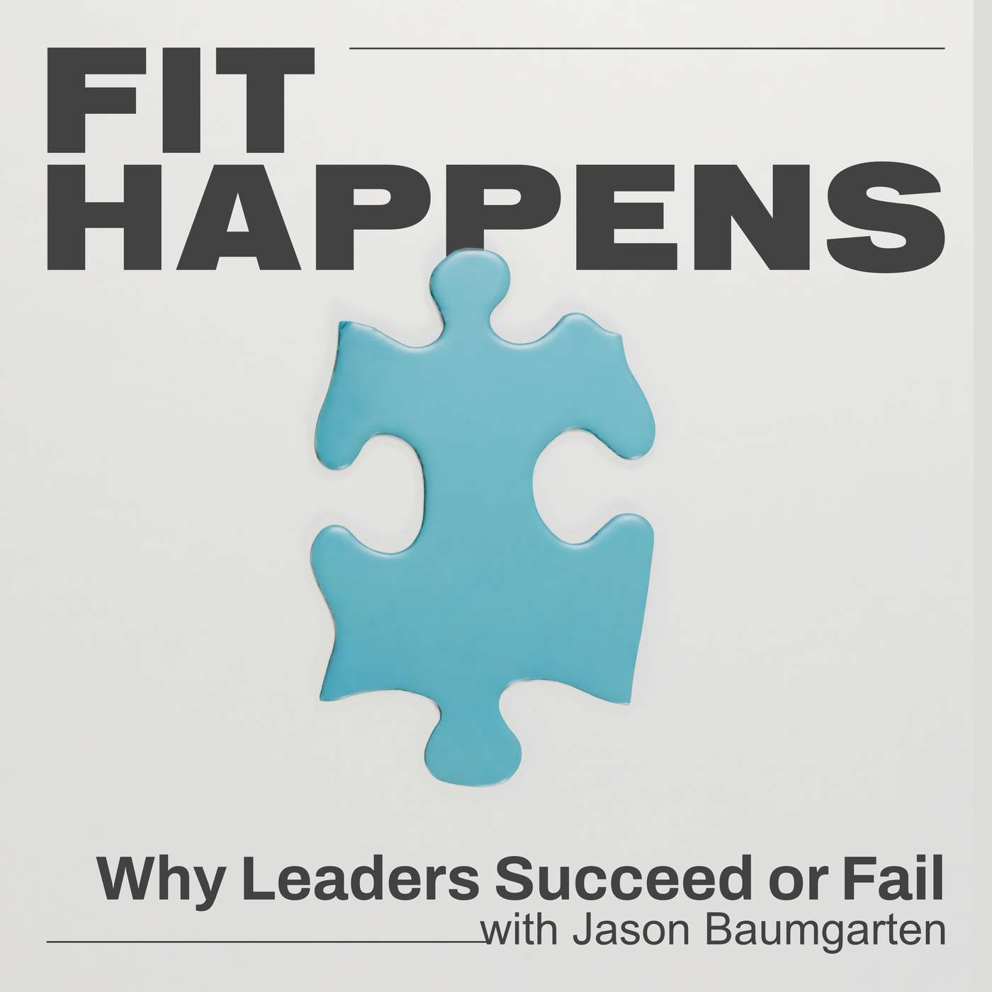 Fit Happens: Why CEOs and Leaders Succeed or Fail artwork