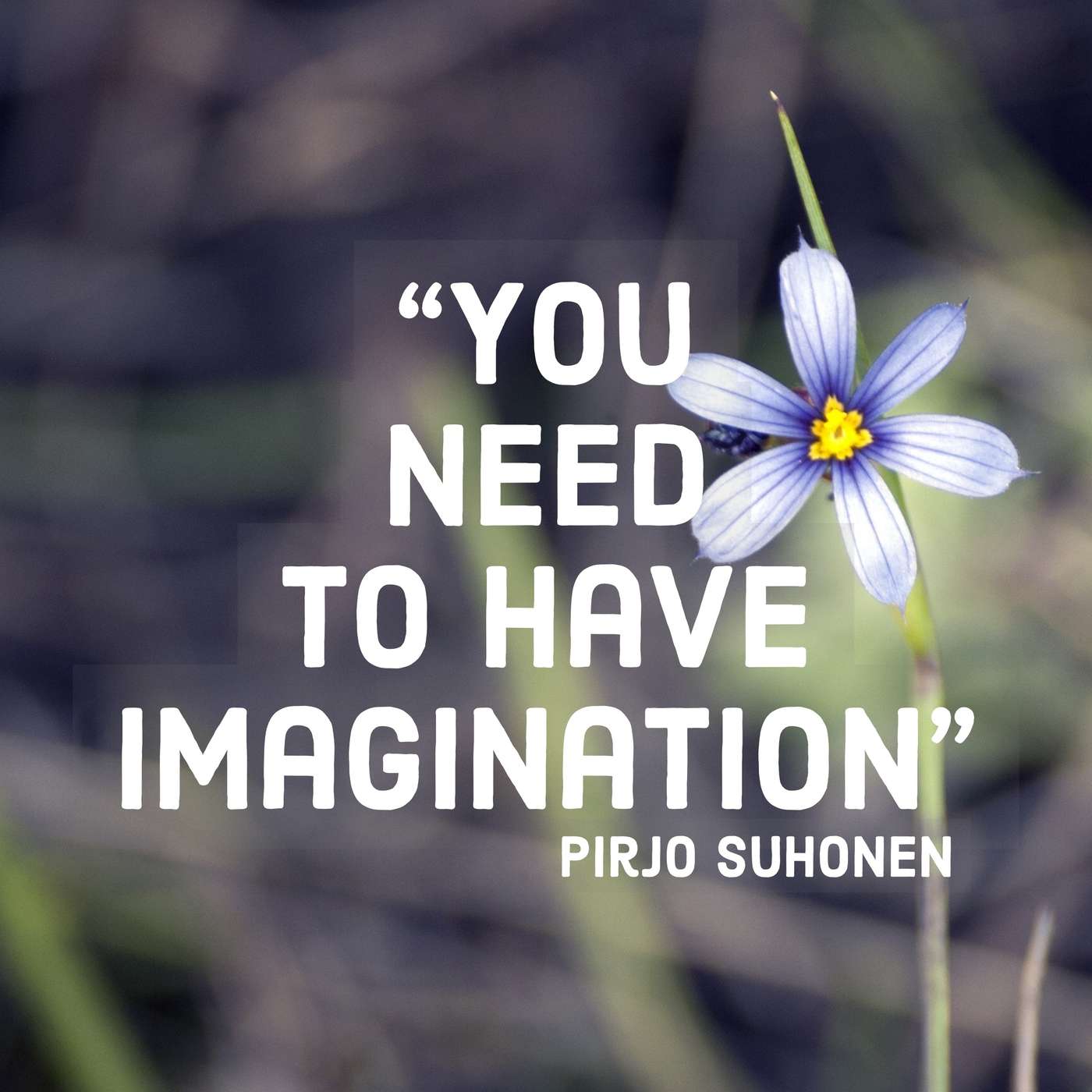 Transformative Principal