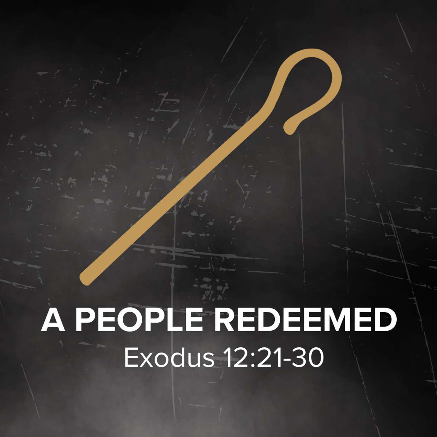 Jesus on Every Page: A People Redeemed episode artwork