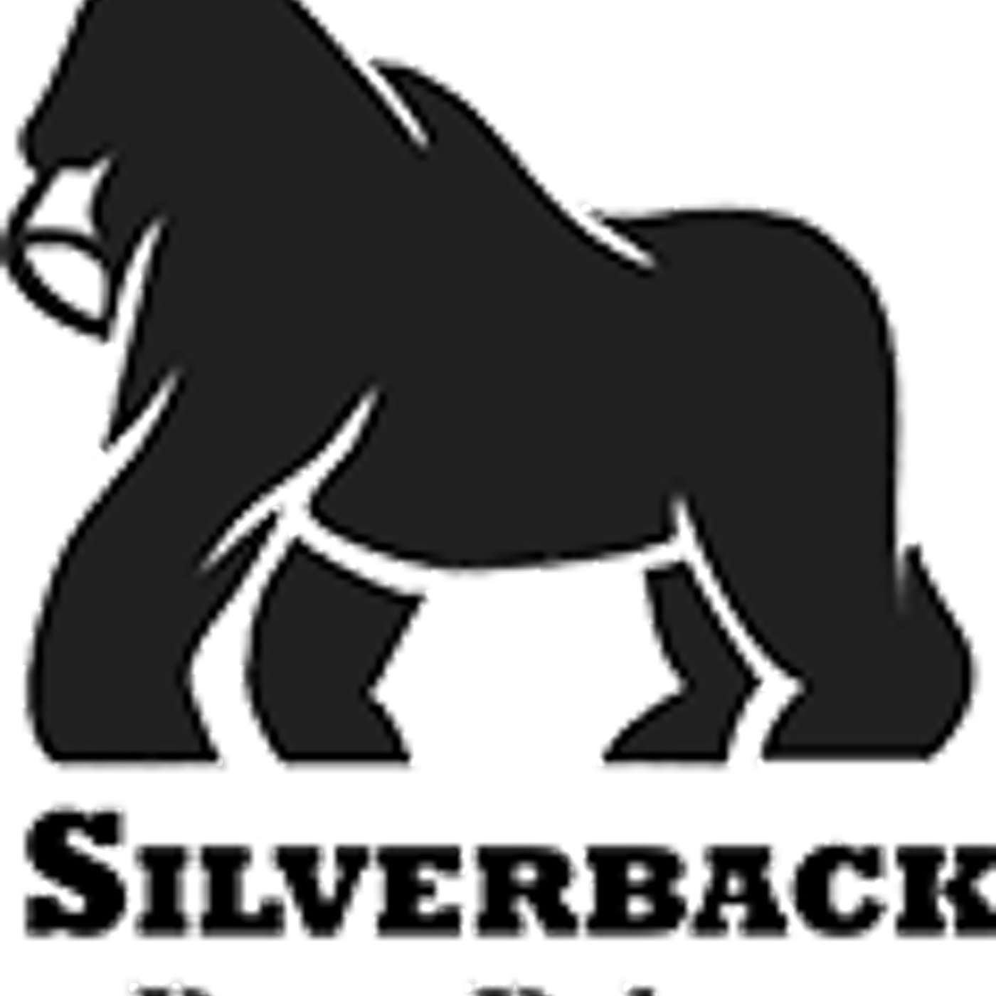 Silverback Press Release cover art