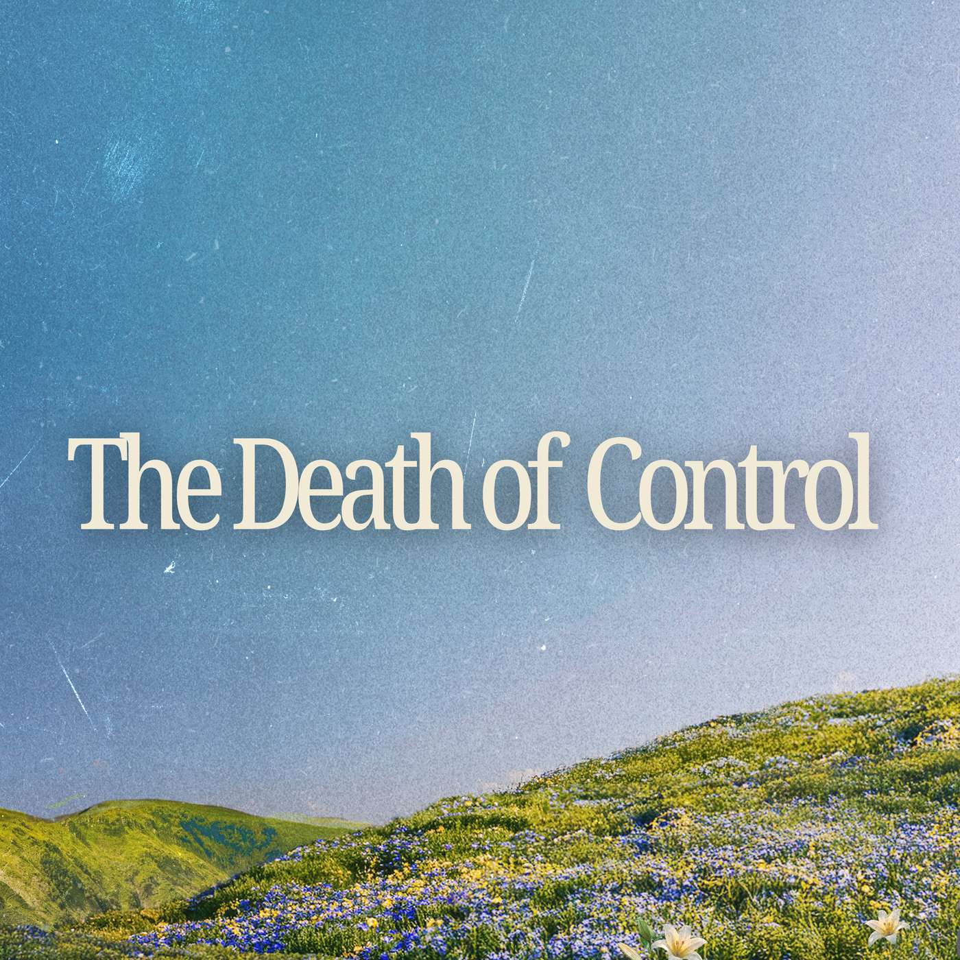 The Death of Control | How to Trust God Instead of Controlling | John 18:1-12 - Dallas Herndon episode artwork