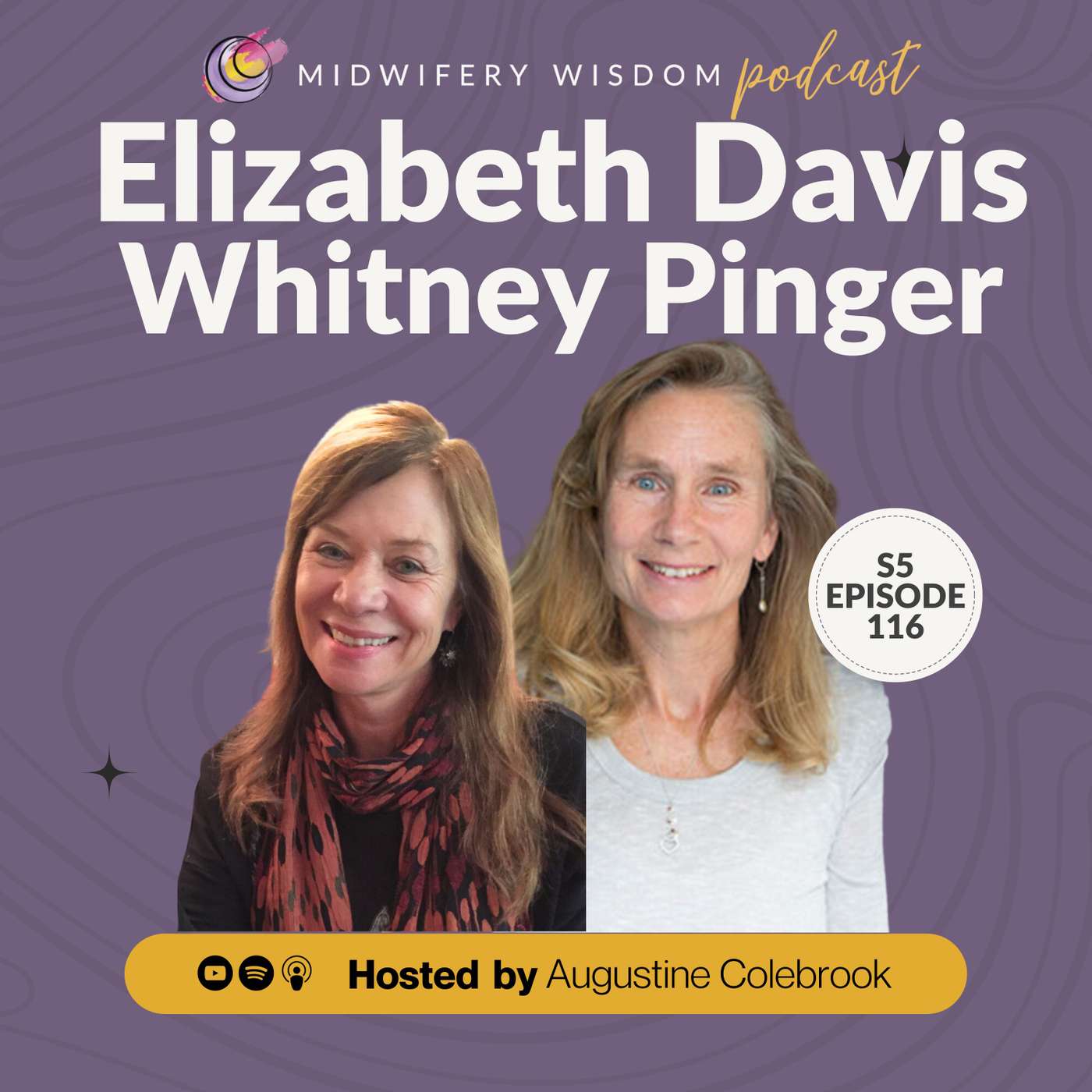 Drawing from the Well of Midwifery Wisdom with Elizabeth Davis and Whitney Pinger episode artwork
